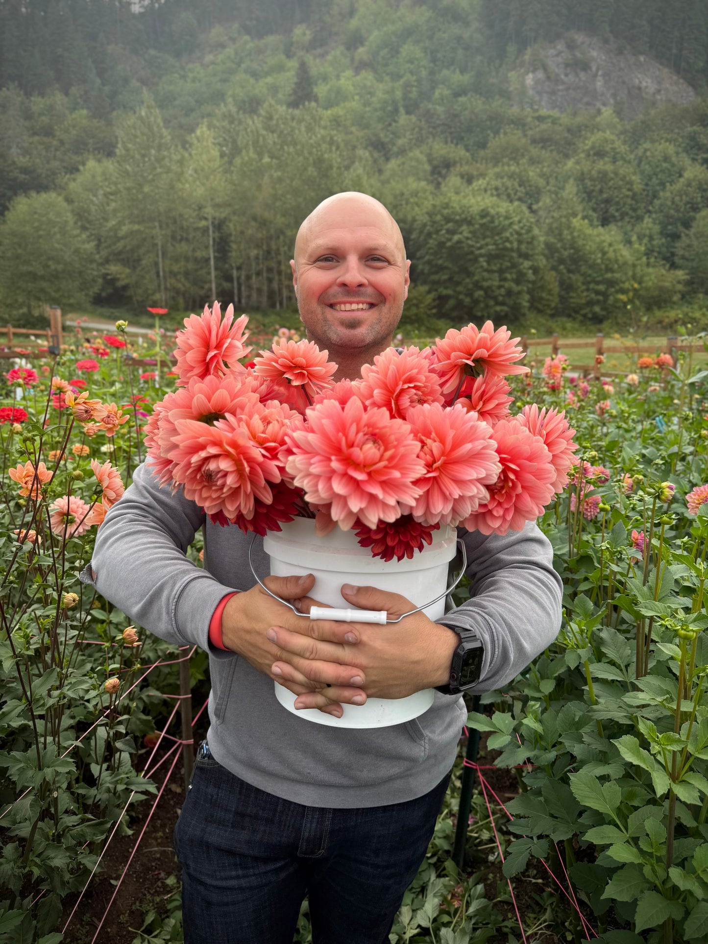 Carolina Wagemans Rooted Cutting