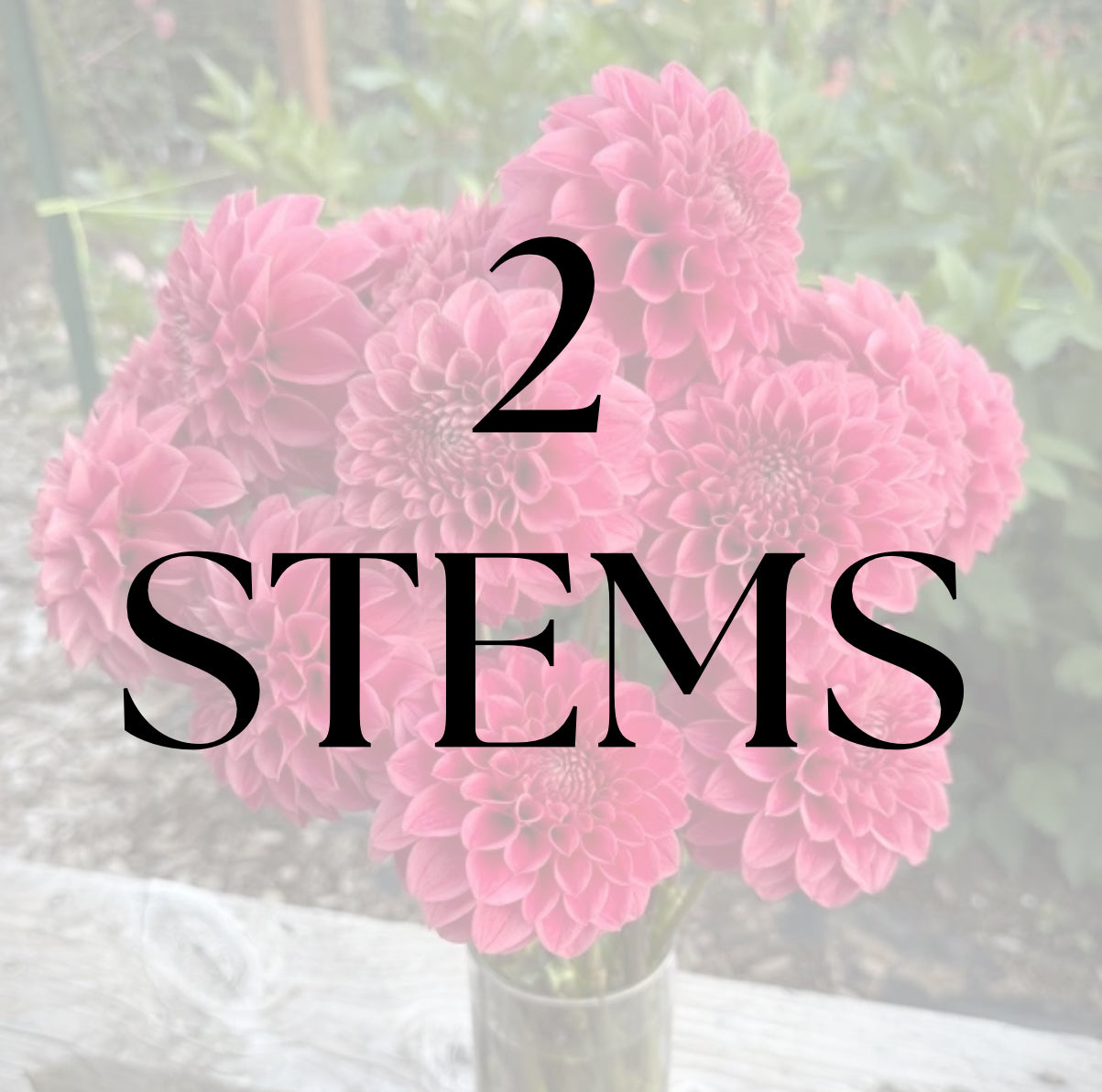2 Stems