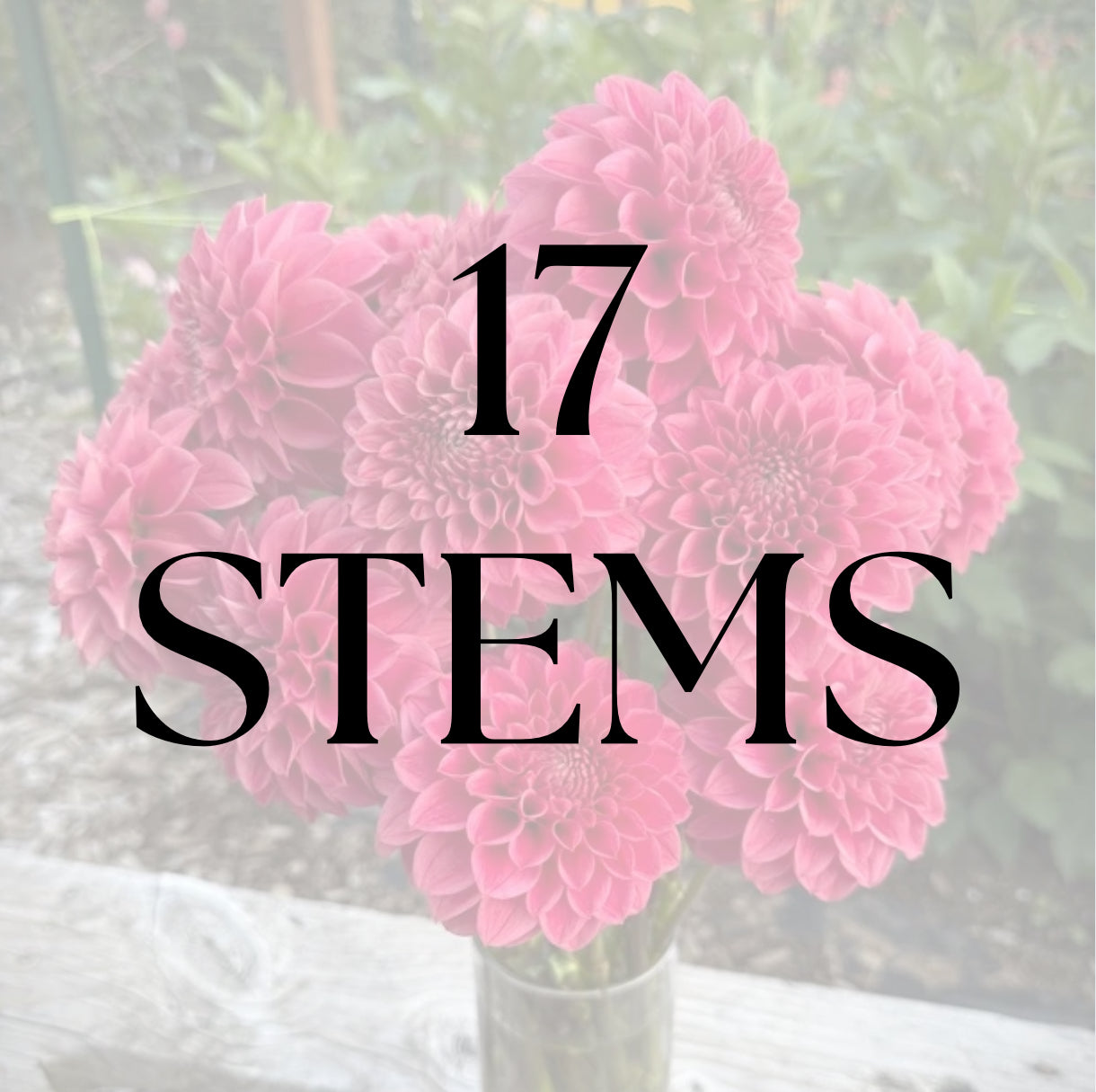 17 Stems