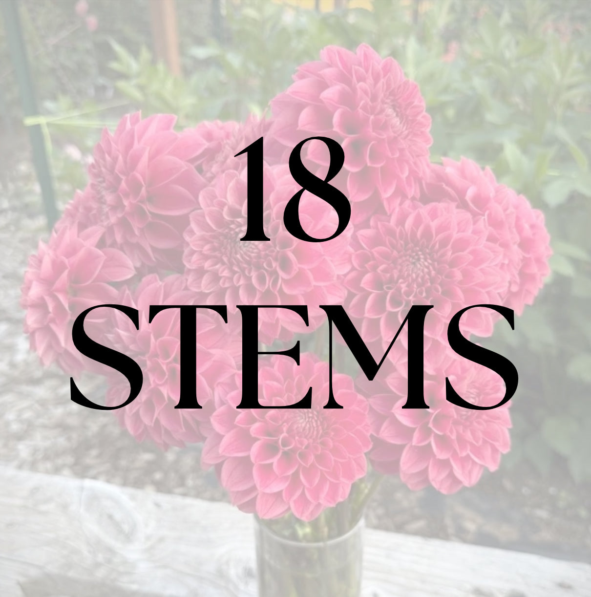 18 Stems