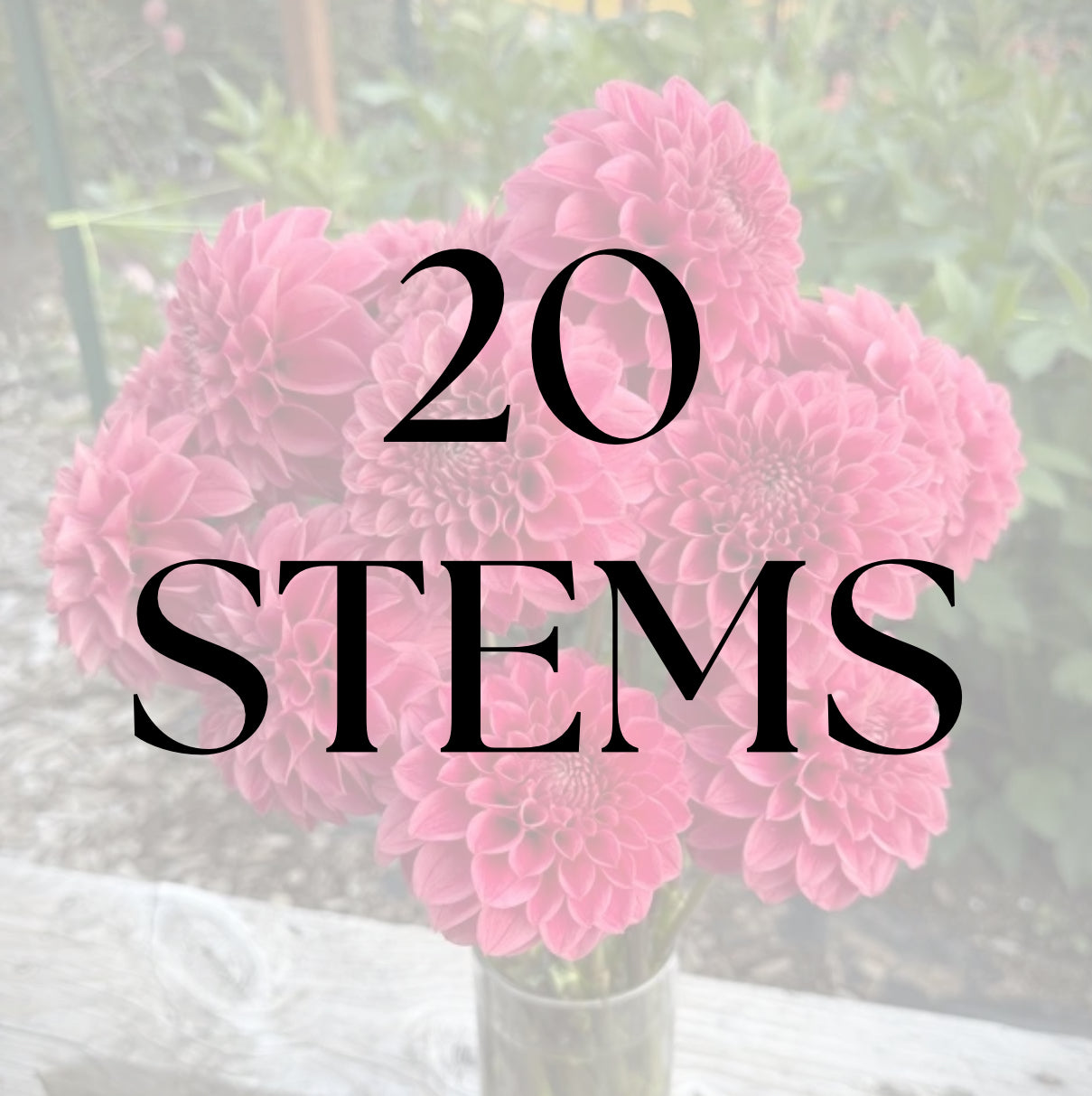 20 Stems