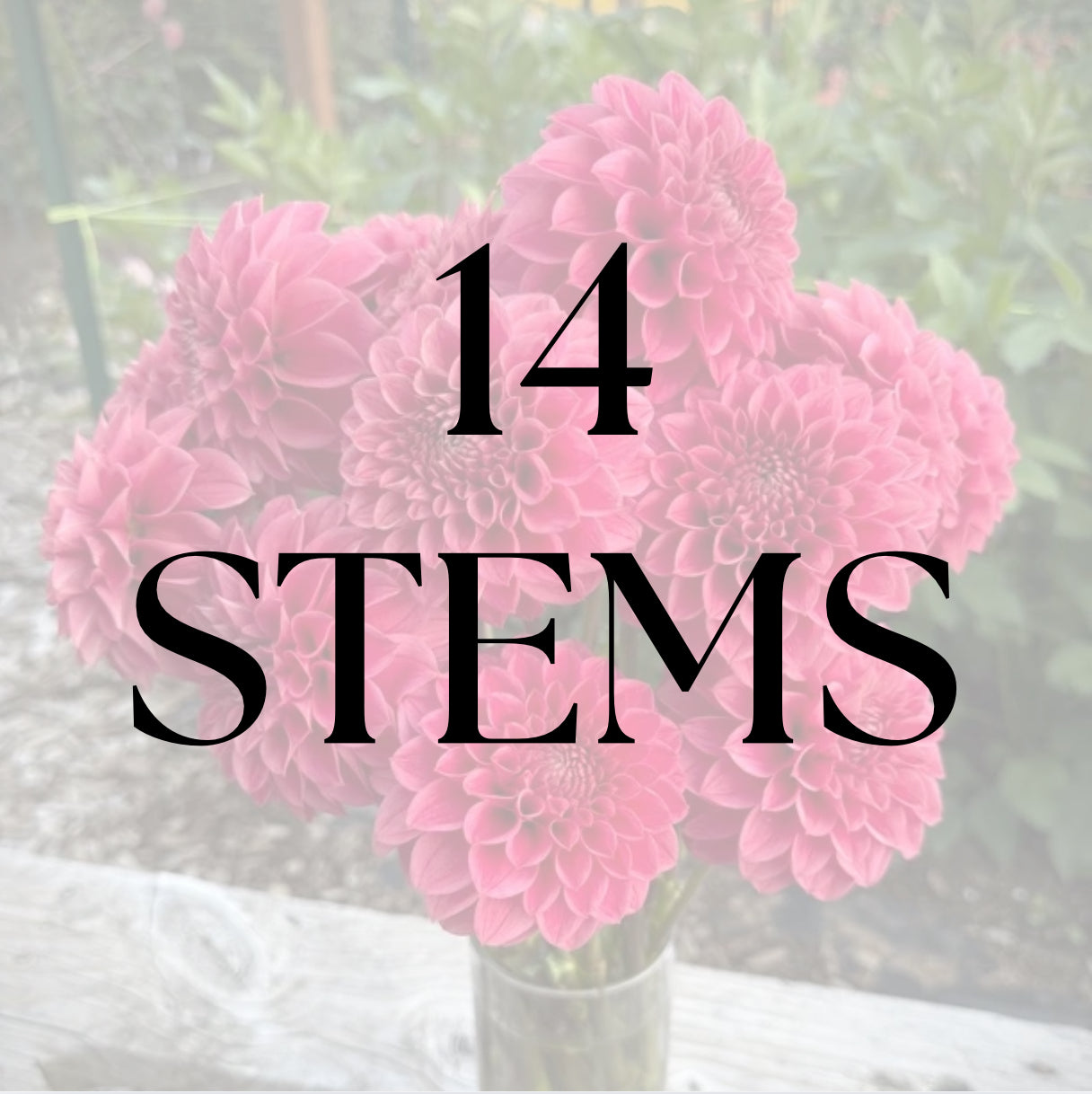 14 Stems