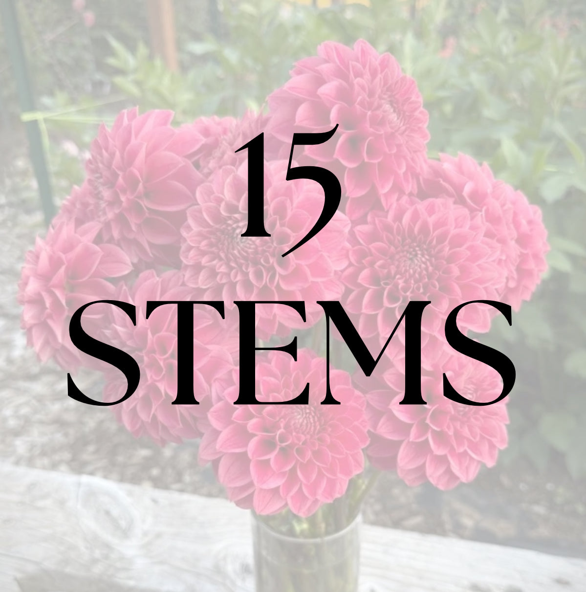 15 Stems