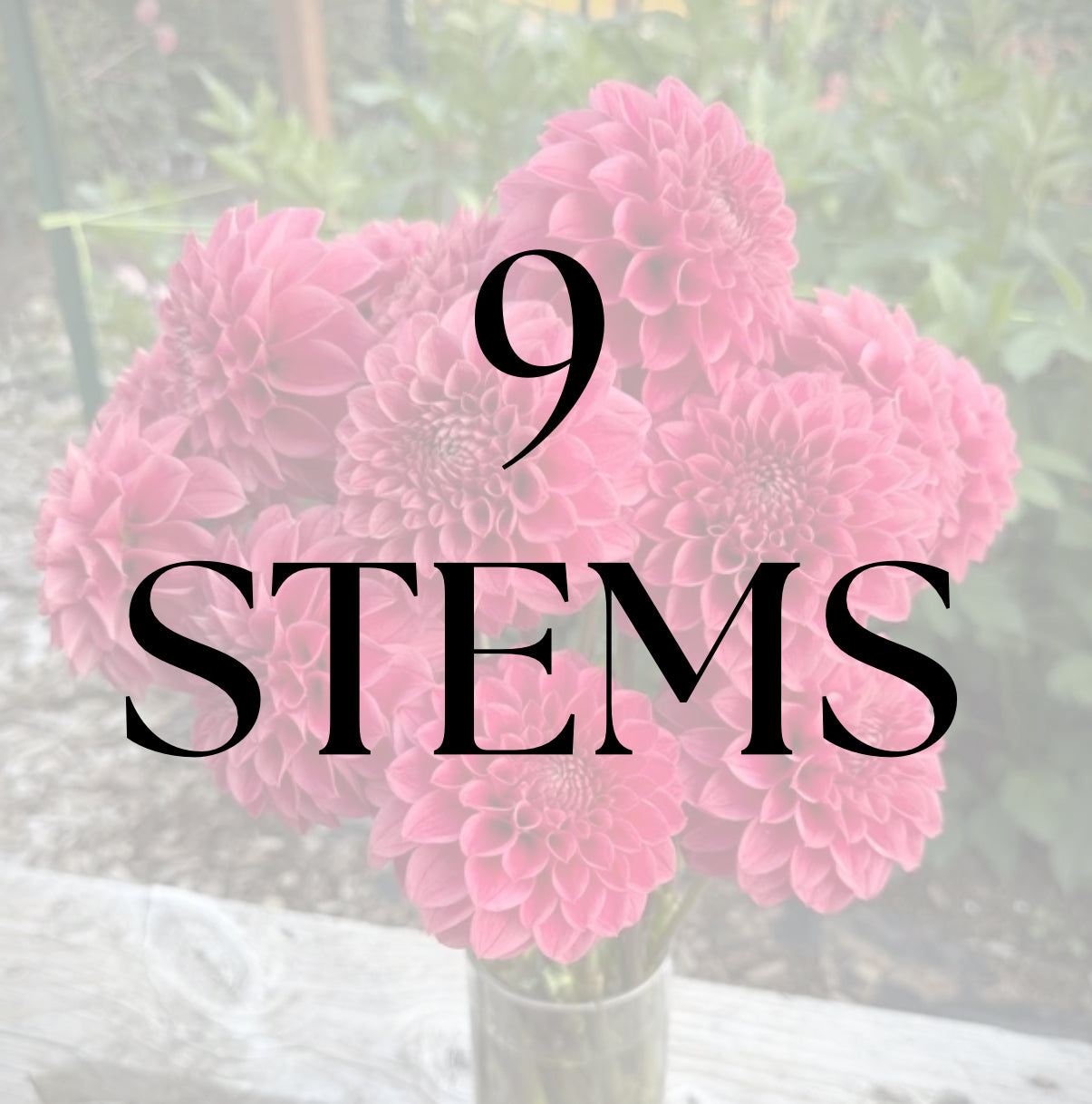 9 Stems
