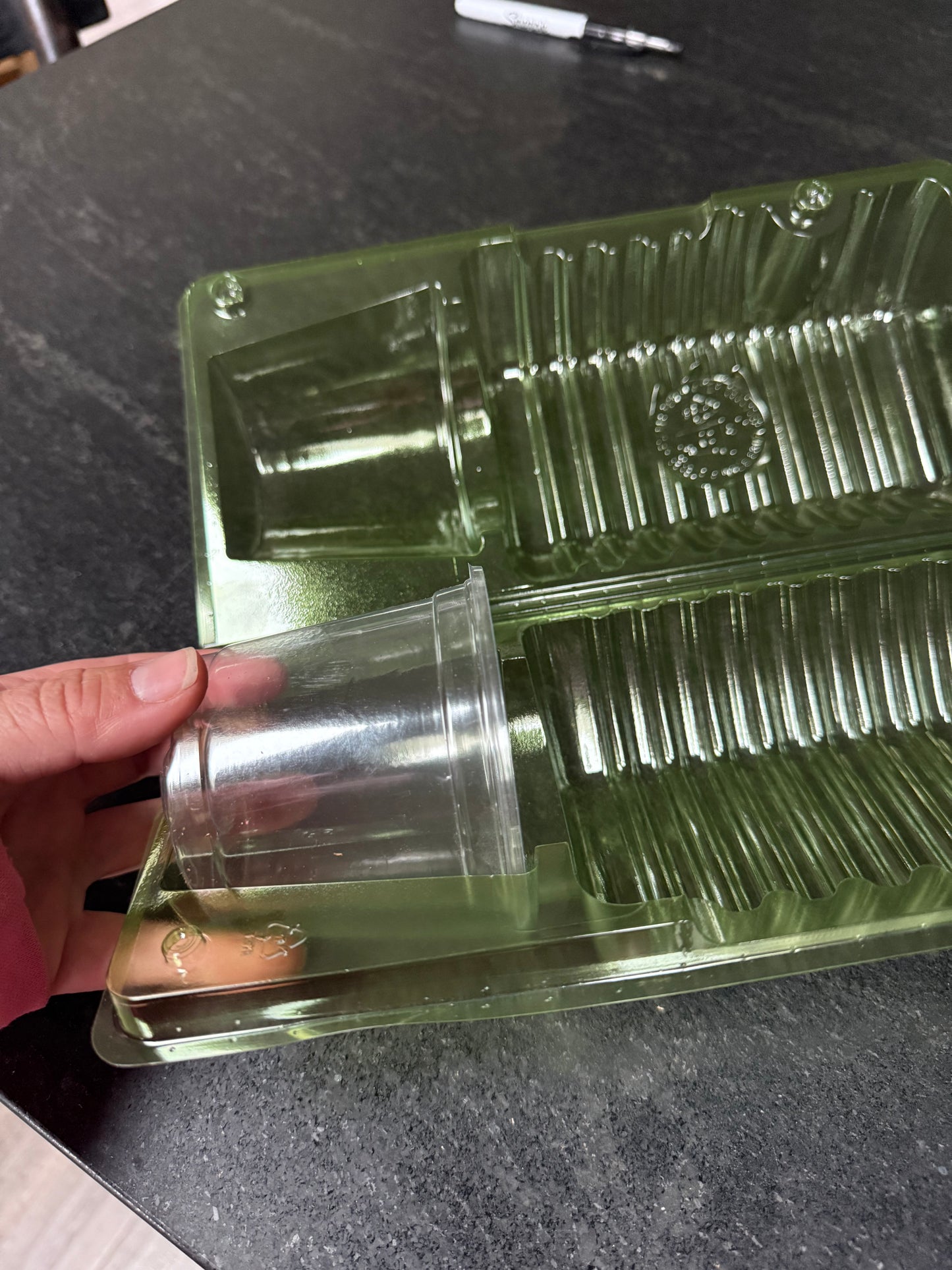 50 Pack Potted Plant Shipper