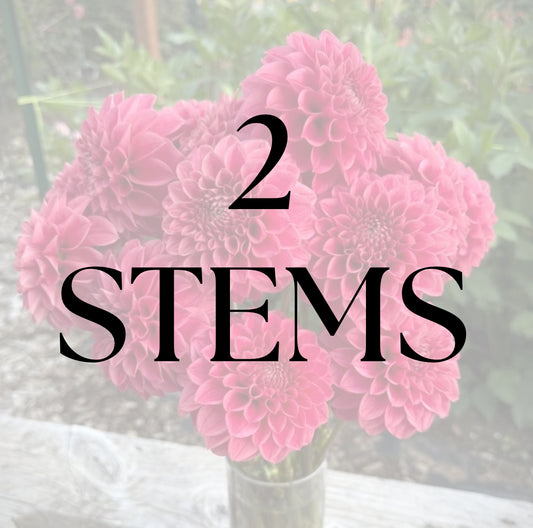 2 Stems