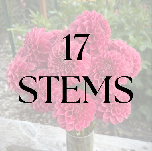 17 Stems