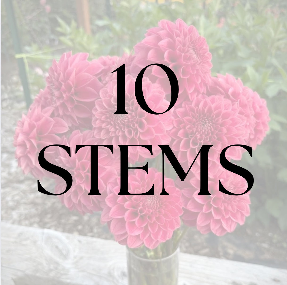 10 Stems
