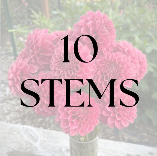 10 Stems