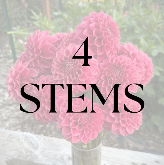 4 Stems
