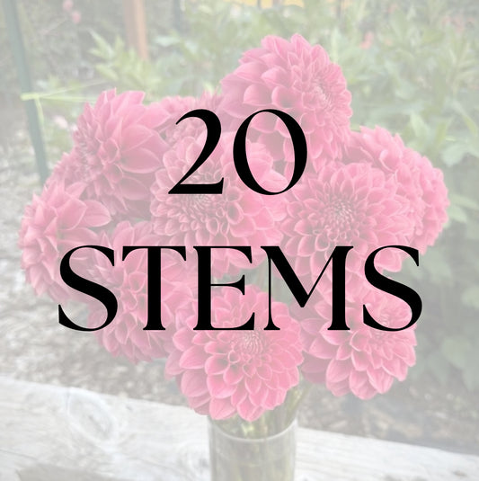 20 Stems