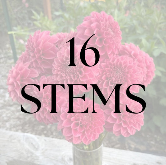 16 Stems