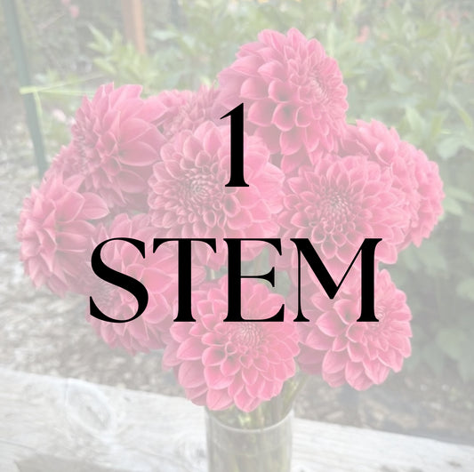 1 Stem