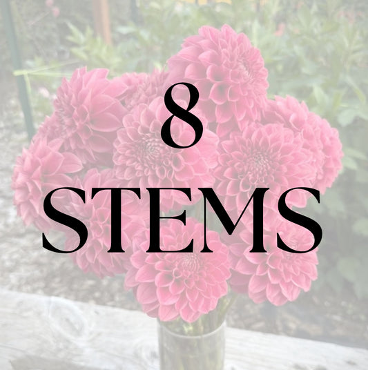 8 Stems