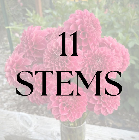 11 Stems