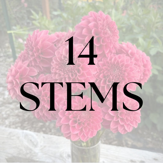 14 Stems