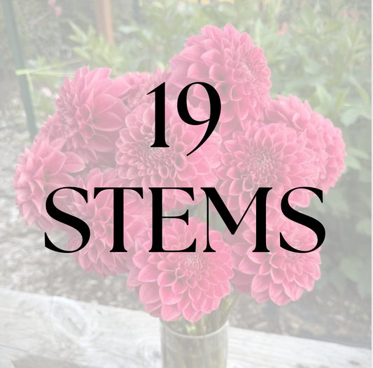 19 Stems