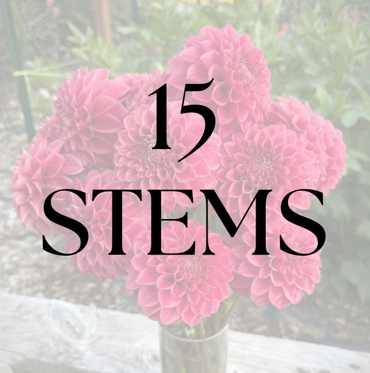 15 Stems