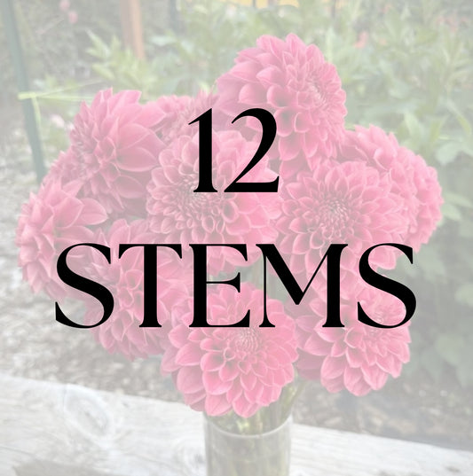 12 Stems