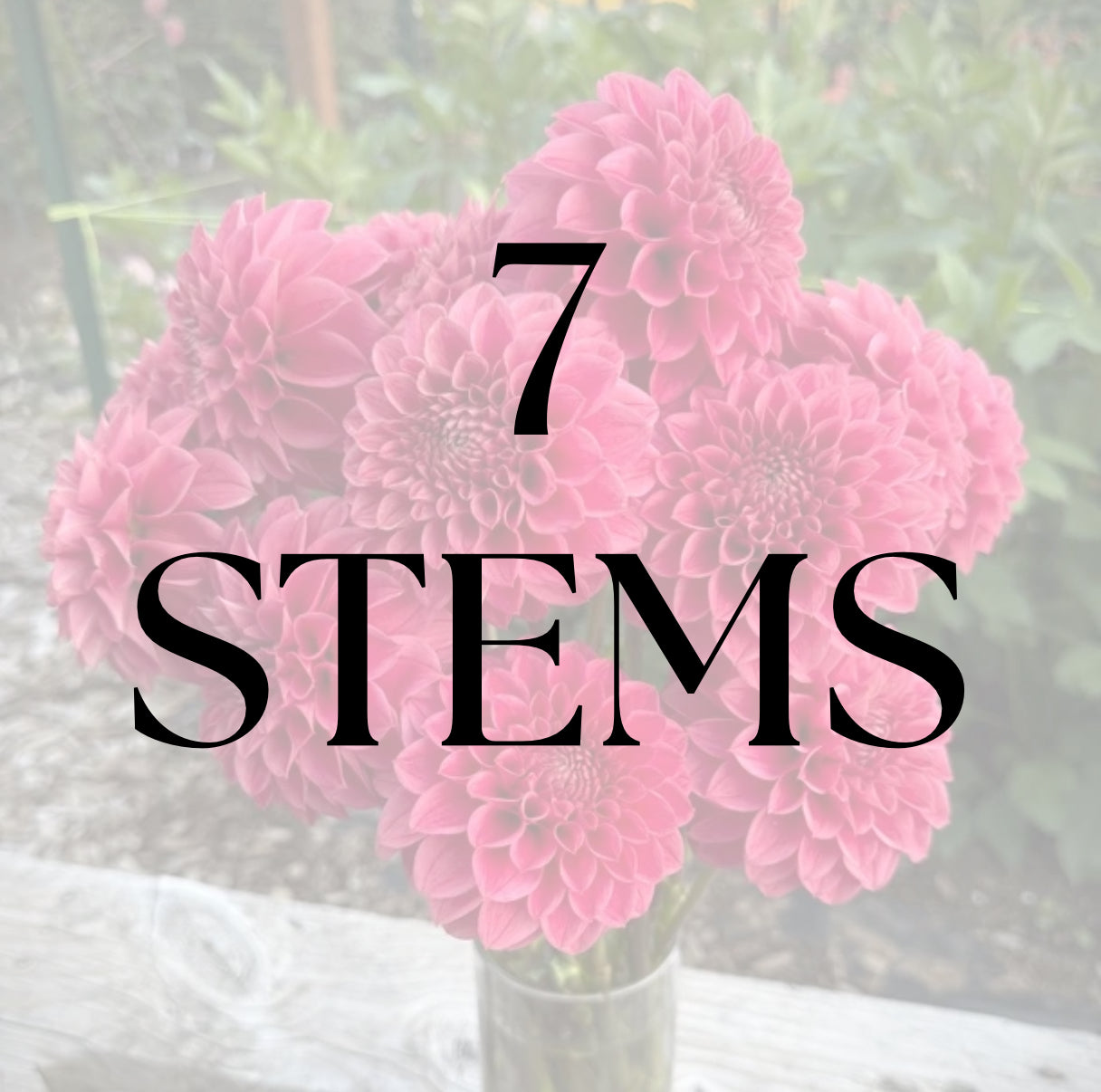 7 Stems