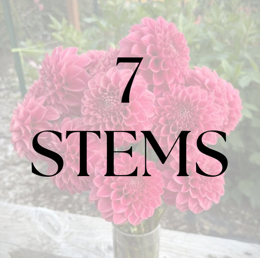 7 Stems
