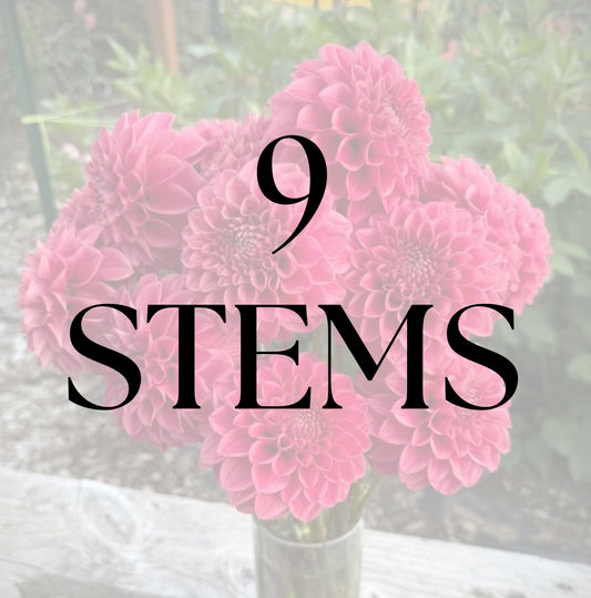 9 Stems