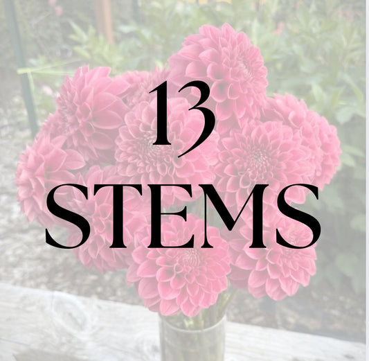 13 Stems