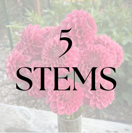 5 Stems